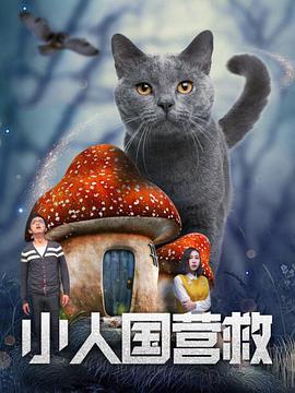 俺也去听听婷婷